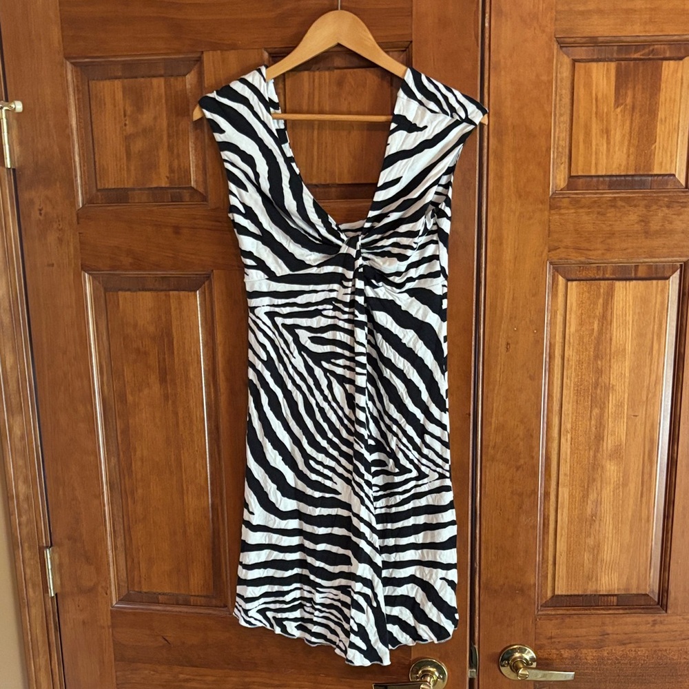 Express Black and White Striped Mini Dress